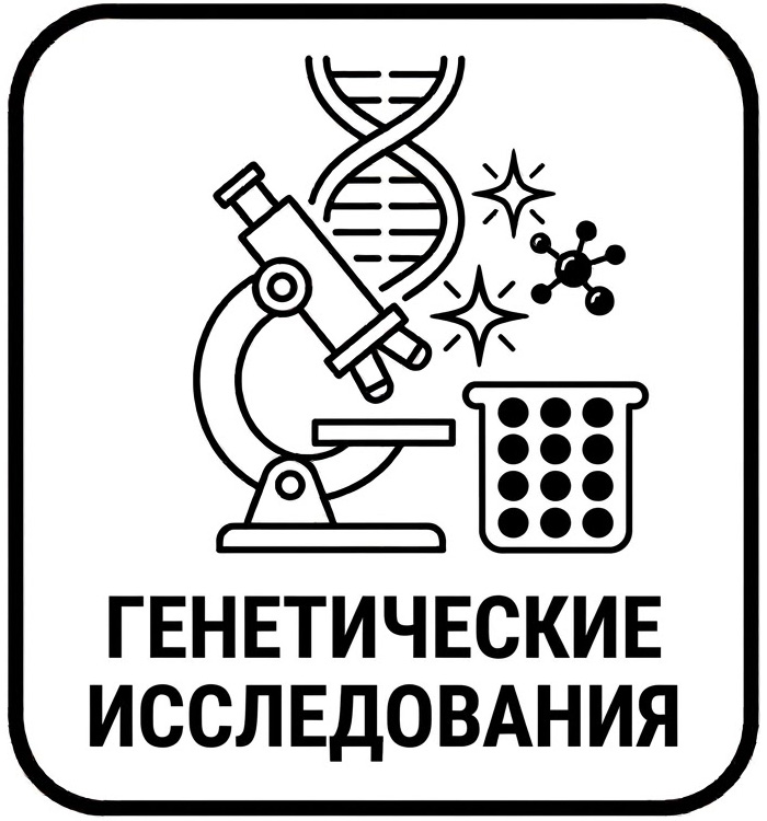 Авиационные поршневые двигатели